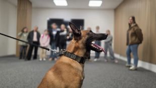 © Police municipale de Lausanne